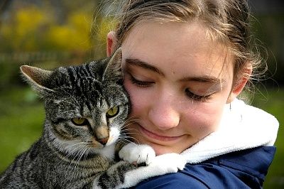 Allergie voor katten