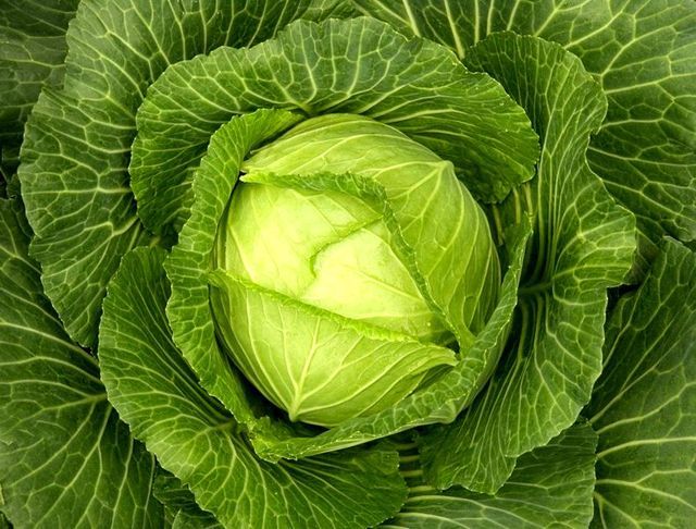 De beste producten voor gewichtsverlies en schoonheid