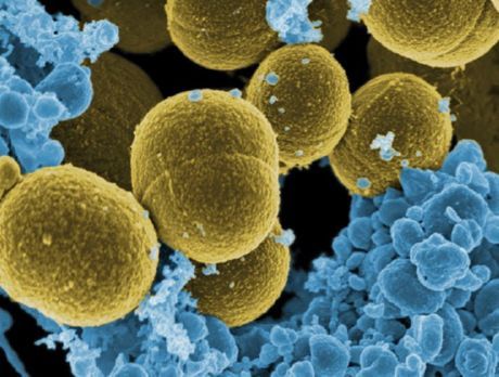 Intestinale griep: belangrijke informatie over de vijand