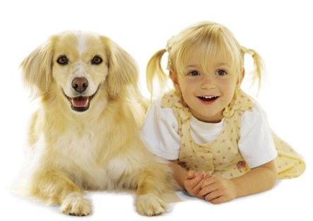 Bacteriën die bij honden worden aangetroffen, kunnen astma voorkomen