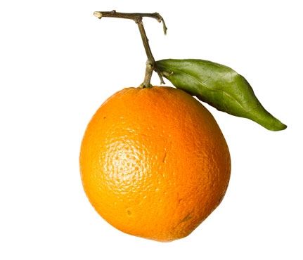 Top 10 voedingsmiddelen voor een stralende en gezonde huid