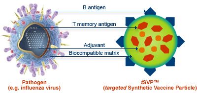 Er is een complex synthetisch vaccin ontwikkeld op basis van DNA-moleculen