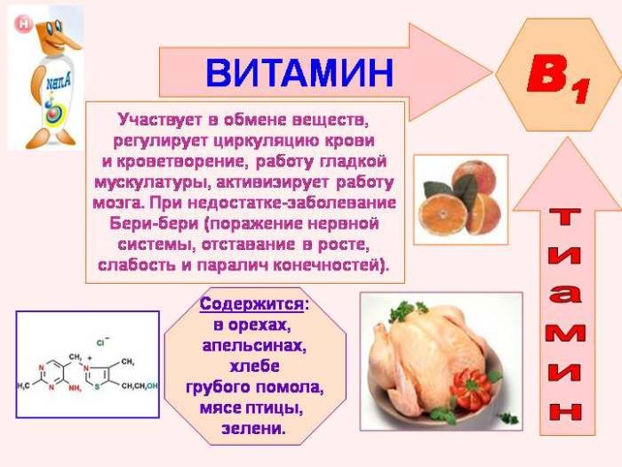 De eigenschappen van vitamine B1